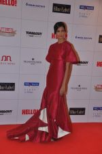 Poorna Jagannathan at Hello hall of  fame awards 2013 in Palladium Hotel, Mumbai on 24th Nov 2013